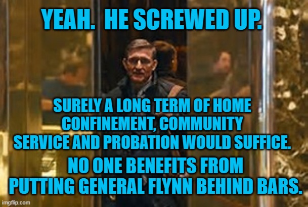 Memorial Day Empathy | YEAH.  HE SCREWED UP. SURELY A LONG TERM OF HOME CONFINEMENT, COMMUNITY SERVICE AND PROBATION WOULD SUFFICE. NO ONE BENEFITS FROM PUTTING GENERAL FLYNN BEHIND BARS. | image tagged in general flynn | made w/ Imgflip meme maker