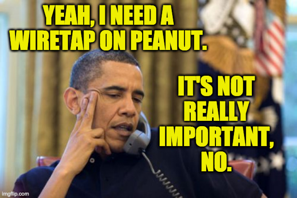 No I Can't Obama Meme | YEAH, I NEED A
WIRETAP ON PEANUT. IT'S NOT
REALLY
IMPORTANT,
NO. | image tagged in memes,no i can't obama | made w/ Imgflip meme maker