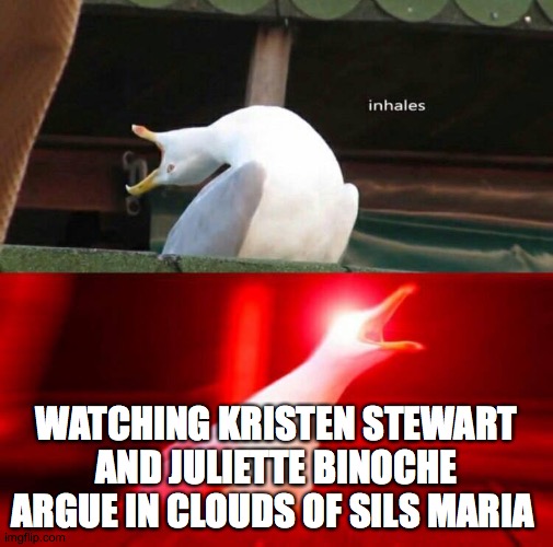 Inhaling Seagull  | WATCHING KRISTEN STEWART AND JULIETTE BINOCHE ARGUE IN CLOUDS OF SILS MARIA | image tagged in inhaling seagull | made w/ Imgflip meme maker