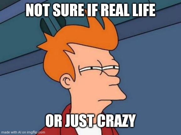 Futurama Fry | NOT SURE IF REAL LIFE; OR JUST CRAZY | image tagged in memes,futurama fry | made w/ Imgflip meme maker