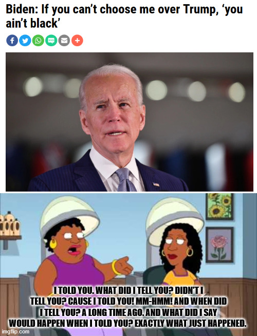 When my meme comes true... | I TOLD YOU. WHAT DID I TELL YOU? DIDN'T I TELL YOU? CAUSE I TOLD YOU! MM-HMM! AND WHEN DID I TELL YOU? A LONG TIME AGO. AND WHAT DID I SAY WOULD HAPPEN WHEN I TOLD YOU? EXACTLY WHAT JUST HAPPENED. | image tagged in joe biden,black woman,black people,election 2020 | made w/ Imgflip meme maker