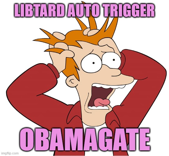 TREASON | LIBTARD AUTO TRIGGER; OBAMAGATE | image tagged in kewlew-fry,obama,biden,election 2020,treason | made w/ Imgflip meme maker
