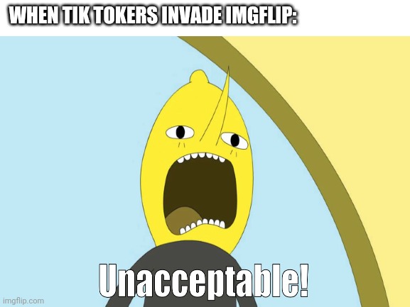 Lemongrab Does NOT Approve This | WHEN TIK TOKERS INVADE IMGFLIP: | made w/ Imgflip meme maker