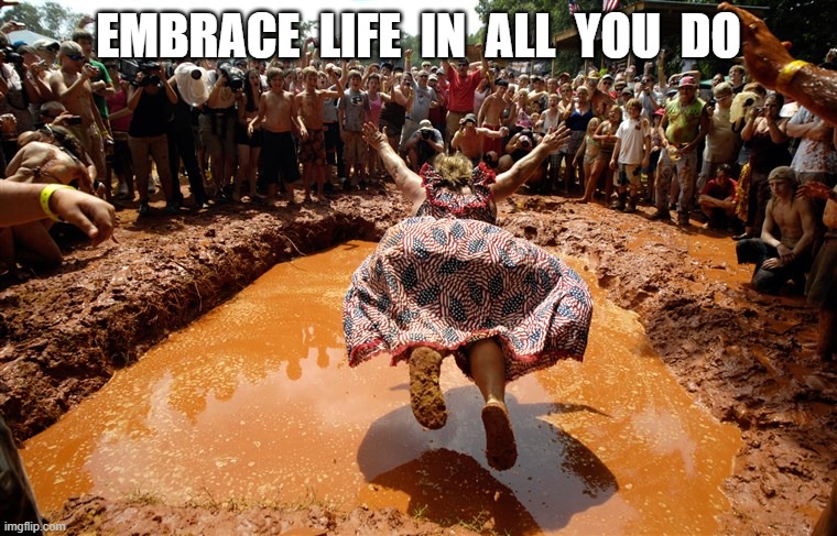 Embrace life | EMBRACE  LIFE  IN  ALL  YOU  DO | image tagged in diving | made w/ Imgflip meme maker