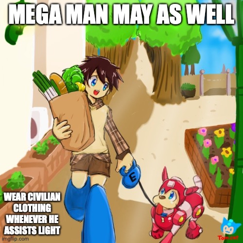 Mega Man and Rokko-chan - Imgflip