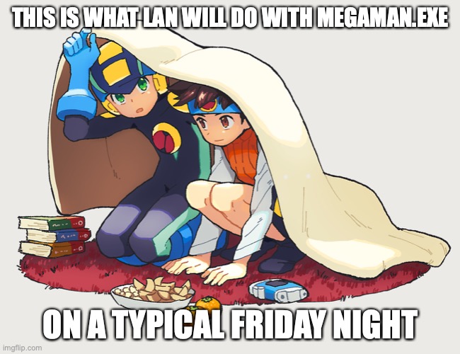 Lan on a Friday Night | THIS IS WHAT LAN WILL DO WITH MEGAMAN.EXE; ON A TYPICAL FRIDAY NIGHT | image tagged in lan hikari,megaman,megaman battle network,memes | made w/ Imgflip meme maker