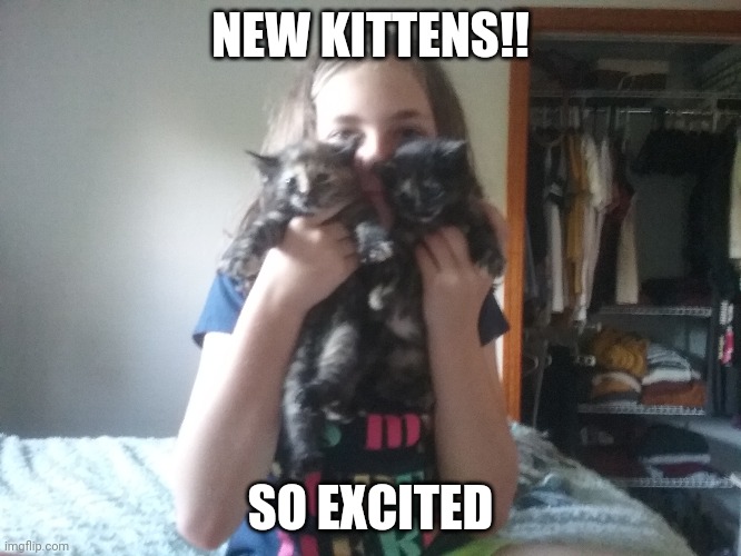 New kittens | NEW KITTENS!! SO EXCITED | image tagged in so happy | made w/ Imgflip meme maker