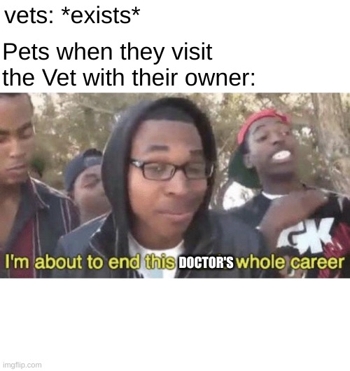 I’m about to end this man’s whole career | vets: *exists* Pets when they visit the Vet with their owner: DOCTOR'S | image tagged in im about to end this mans whole career | made w/ Imgflip meme maker