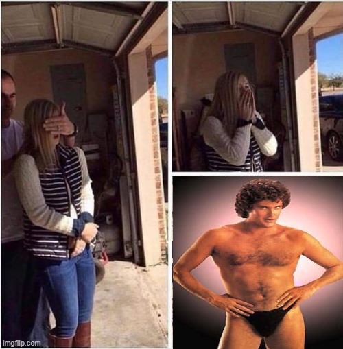 The Hoff Always Pleases Them | image tagged in surprise gift | made w/ Imgflip meme maker