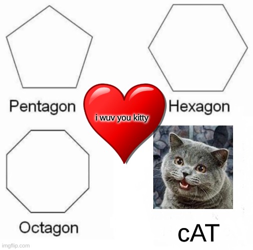 Pentagon Hexagon Octagon | i wuv you kitty; cAT | image tagged in memes,pentagon hexagon octagon | made w/ Imgflip meme maker