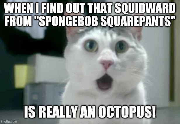 Then why is his name SQUIDward? | WHEN I FIND OUT THAT SQUIDWARD FROM "SPONGEBOB SQUAREPANTS"; IS REALLY AN OCTOPUS! | image tagged in memes,omg cat,spongebob squarepants,squidward,nickelodeon,mandela effect | made w/ Imgflip meme maker