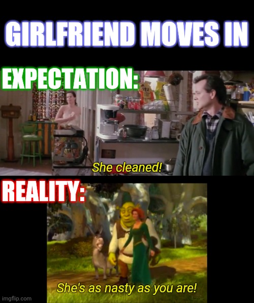 GIRLFRIEND MOVES IN; EXPECTATION:; REALITY:; She cleaned! She's as nasty as you are! | image tagged in narrow black strip background,memes,girlfriend,shrek,ghostbusters | made w/ Imgflip meme maker