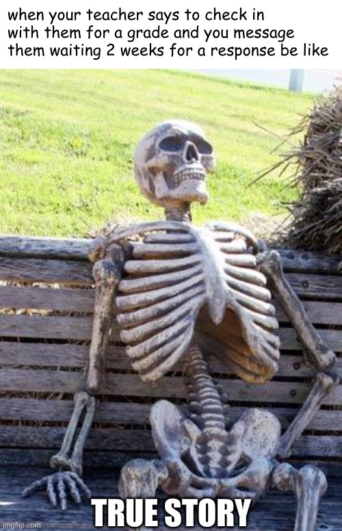 School in a nutshell | when your teacher says to check in with them for a grade and you message them waiting 2 weeks for a response be like; TRUE STORY | image tagged in memes,waiting skeleton | made w/ Imgflip meme maker