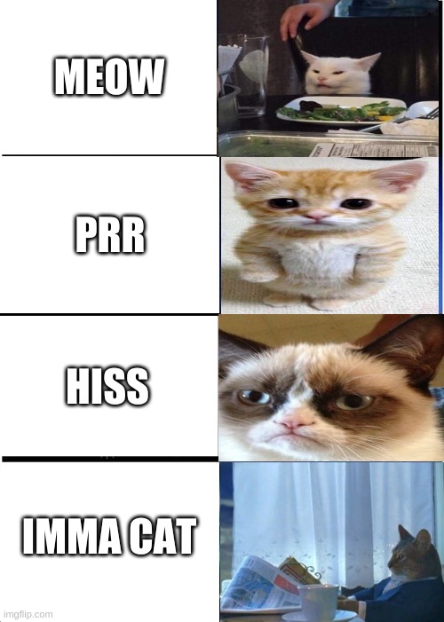 Expanding Brain | MEOW; PRR; HISS; IMMA CAT | image tagged in memes,expanding brain | made w/ Imgflip meme maker