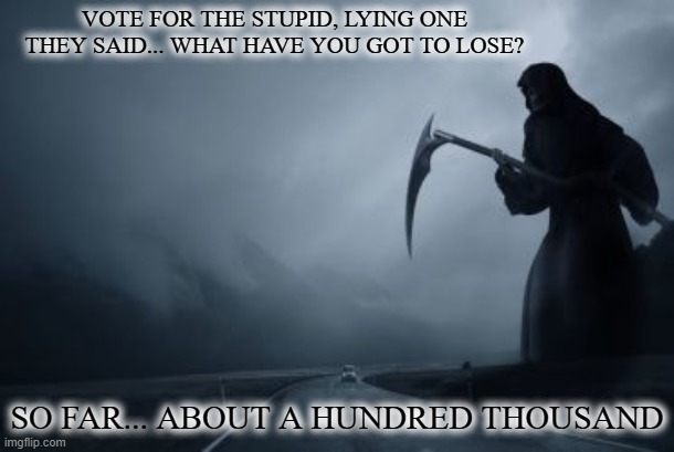 VOTE FOR THE STUPID, LYING ONE THEY SAID... WHAT HAVE YOU GOT TO LOSE? SO FAR... ABOUT A HUNDRED THOUSAND | image tagged in donald trump | made w/ Imgflip meme maker