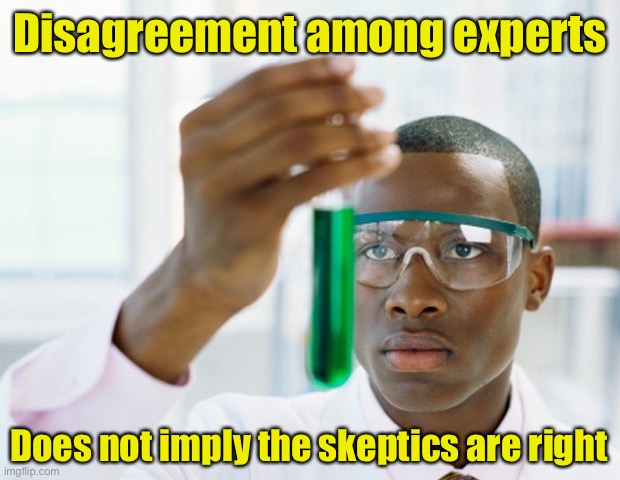 It’s just means... there’s disagreement. And the proper way forward is to weigh the strengths of the competing claims. | Disagreement among experts; Does not imply the skeptics are right | image tagged in black scientist finally xium,skeptical,science,global warming,climate change,logic | made w/ Imgflip meme maker