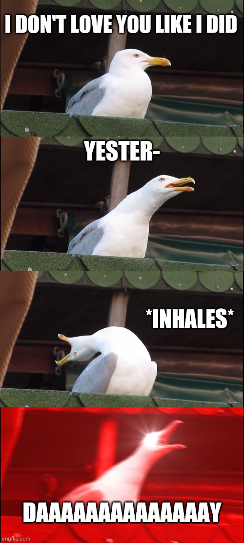 Inhaling Seagull Meme | I DON'T LOVE YOU LIKE I DID; YESTER-; *INHALES*; DAAAAAAAAAAAAAAY | image tagged in memes,inhaling seagull,mcr,my chemical romance,the black parade,i don't love you | made w/ Imgflip meme maker