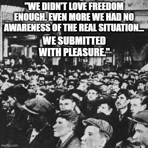 Freedom Solzhenitsyn | "WE DIDN'T LOVE FREEDOM ENOUGH. EVEN MORE WE HAD NO AWARENESS OF THE REAL SITUATION... WE SUBMITTED WITH PLEASURE." | image tagged in freedom,blind submission | made w/ Imgflip meme maker
