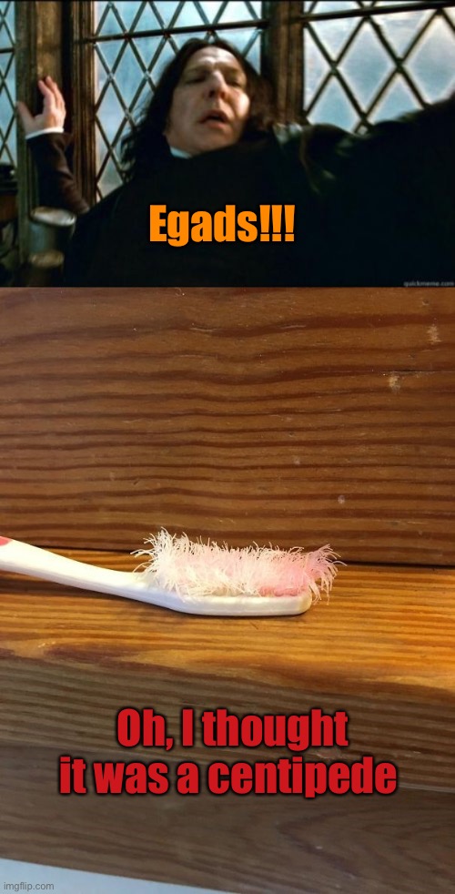 Meh, it’ll last a little longer. | Egads!!! Oh, I thought it was a centipede | image tagged in piton scared,toothbrush,memes,funny | made w/ Imgflip meme maker