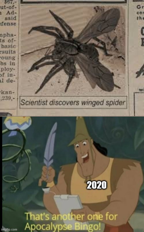 Winged Spider | 2020 | image tagged in winged spider,2020,apocalypse bingo,eek | made w/ Imgflip meme maker