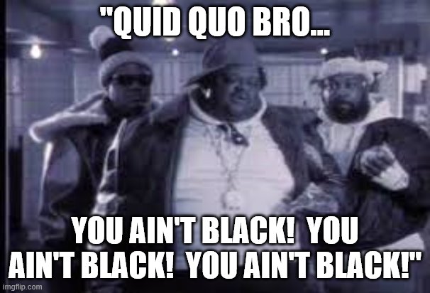 "Ding Dongs...!"  Wait a minute!  you are the ding dong ha ha ha lol lol lol | "QUID QUO BRO... YOU AIN'T BLACK!  YOU AIN'T BLACK!  YOU AIN'T BLACK!" | image tagged in joe biden,pathetic,moron | made w/ Imgflip meme maker