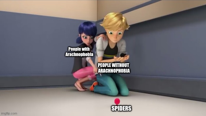 First Meme-I like this show, don't judge me. | People with 
Arachnophobia; PEOPLE WITHOUT 
ARACHNOPHOBIA; SPIDERS | image tagged in miraculous ladybug | made w/ Imgflip meme maker