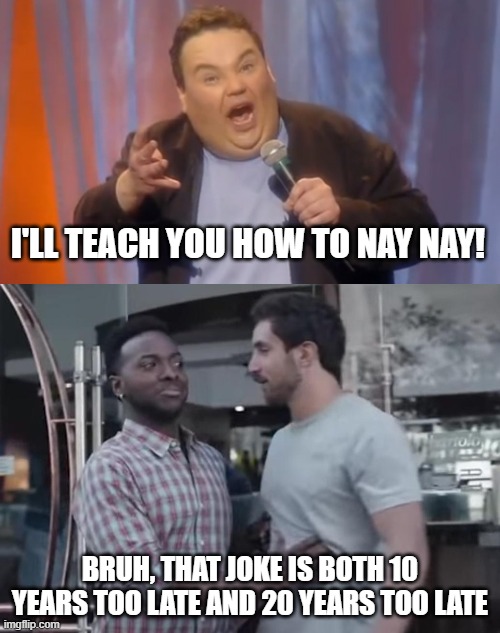 I say Nae Nae! | I'LL TEACH YOU HOW TO NAY NAY! BRUH, THAT JOKE IS BOTH 10 YEARS TOO LATE AND 20 YEARS TOO LATE | image tagged in pinette,bro not cool,whip nae nae,so last year,i say nay nay | made w/ Imgflip meme maker