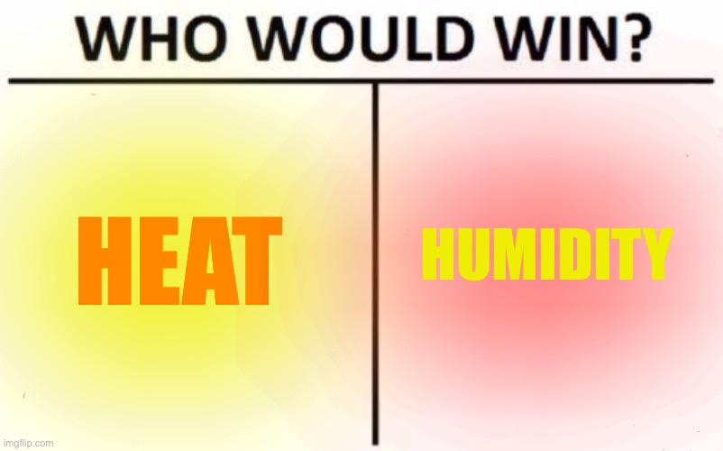 Who Would Win? Meme | HEAT; HUMIDITY | image tagged in memes,who would win | made w/ Imgflip meme maker