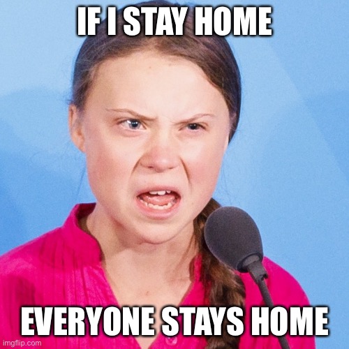 How Dare You | IF I STAY HOME EVERYONE STAYS HOME | image tagged in how dare you | made w/ Imgflip meme maker