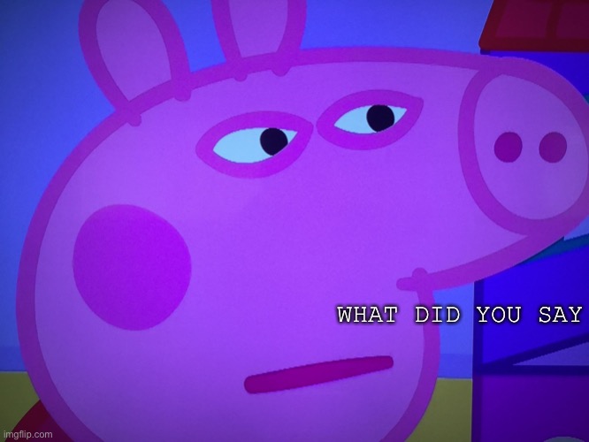 What did you say Peppa Pig | WHAT DID YOU SAY | image tagged in what did you say peppa pig | made w/ Imgflip meme maker
