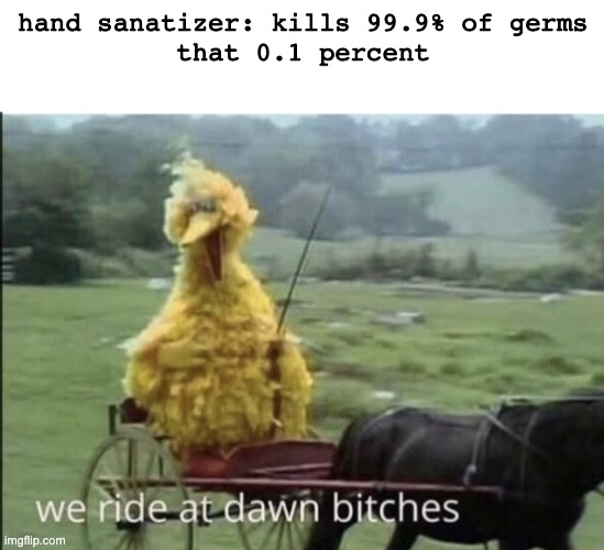 We ride at dawn bitches | hand sanatizer: kills 99.9% of germs
that 0.1 percent | image tagged in we ride at dawn bitches,memes | made w/ Imgflip meme maker