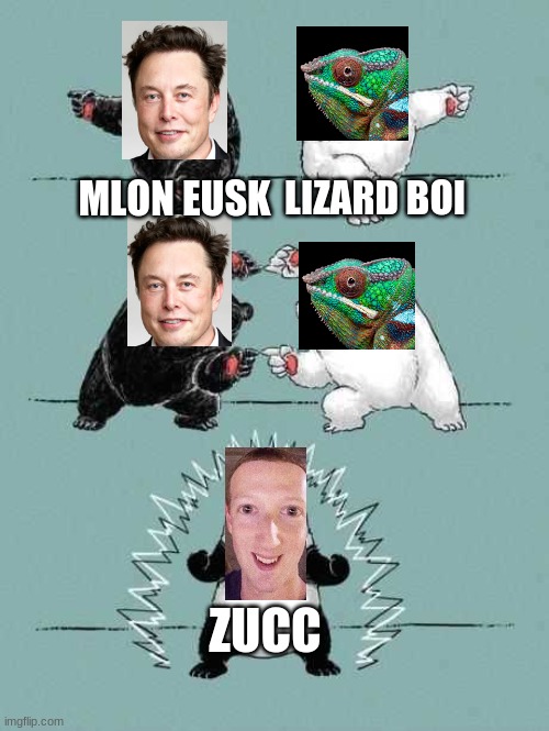 zucc | MLON EUSK; LIZARD BOI; ZUCC | image tagged in 2 bears equal to panda | made w/ Imgflip meme maker