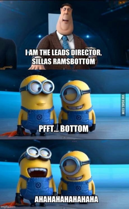 meme funny minion pictures