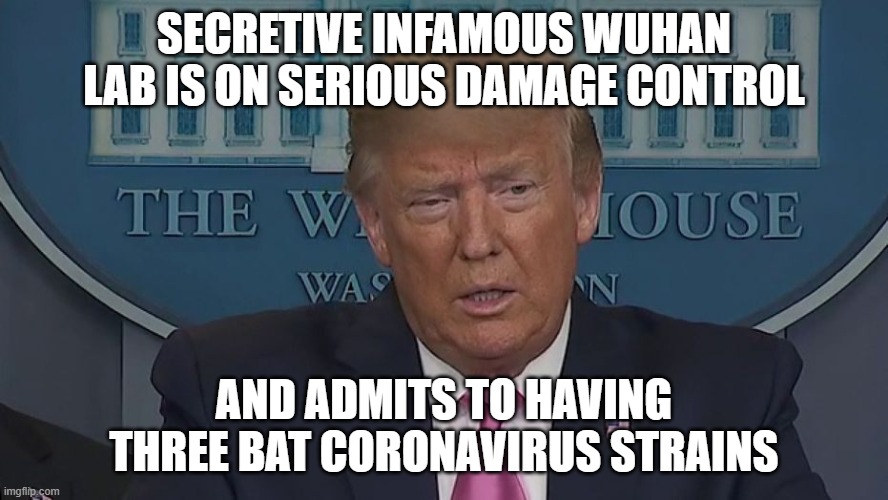 Pure damage control is what Wuhan lab director is doing! | SECRETIVE INFAMOUS WUHAN LAB IS ON SERIOUS DAMAGE CONTROL; AND ADMITS TO HAVING THREE BAT CORONAVIRUS STRAINS | image tagged in if only you knew how bad things really are | made w/ Imgflip meme maker