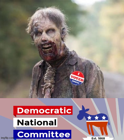 Dead Voter | image tagged in dead voter | made w/ Imgflip meme maker