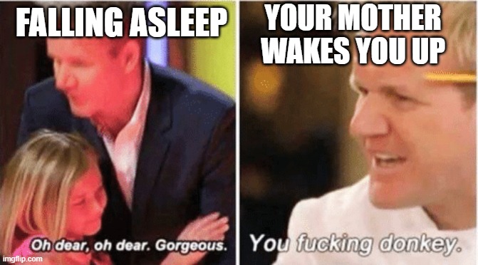 Gordon Ramsey talking to kids vs talking to adults | YOUR MOTHER WAKES YOU UP; FALLING ASLEEP | image tagged in gordon ramsey talking to kids vs talking to adults | made w/ Imgflip meme maker