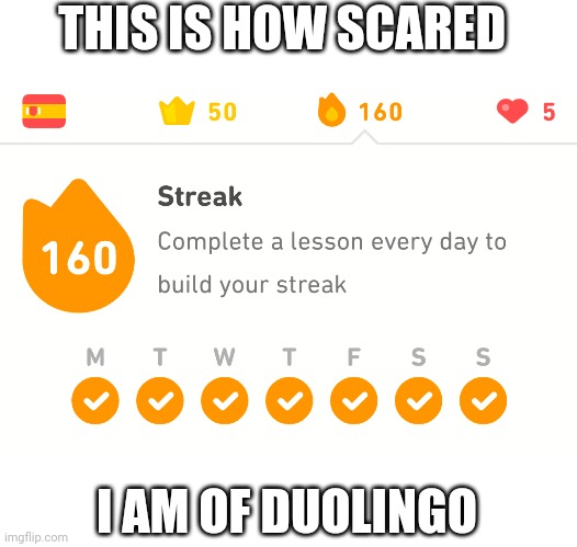 THIS IS HOW SCARED; I AM OF DUOLINGO | made w/ Imgflip meme maker