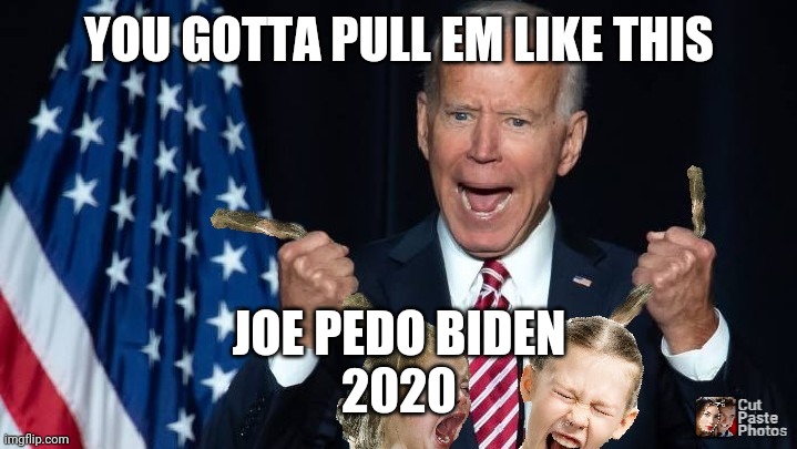 Joe biden | YOU GOTTA PULL EM LIKE THIS; JOE PEDO BIDEN
2020 | image tagged in joe biden | made w/ Imgflip meme maker