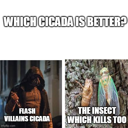 Which one? | WHICH CICADA IS BETTER? FLASH VILLAINS CICADA; THE INSECT WHICH KILLS TOO | image tagged in weird | made w/ Imgflip meme maker