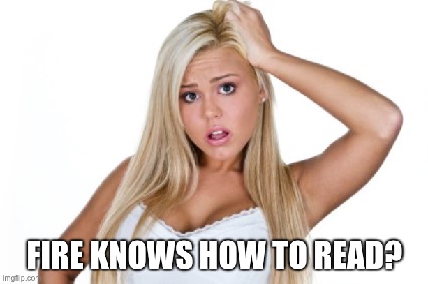 Dumb Blonde | FIRE KNOWS HOW TO READ? | image tagged in dumb blonde | made w/ Imgflip meme maker