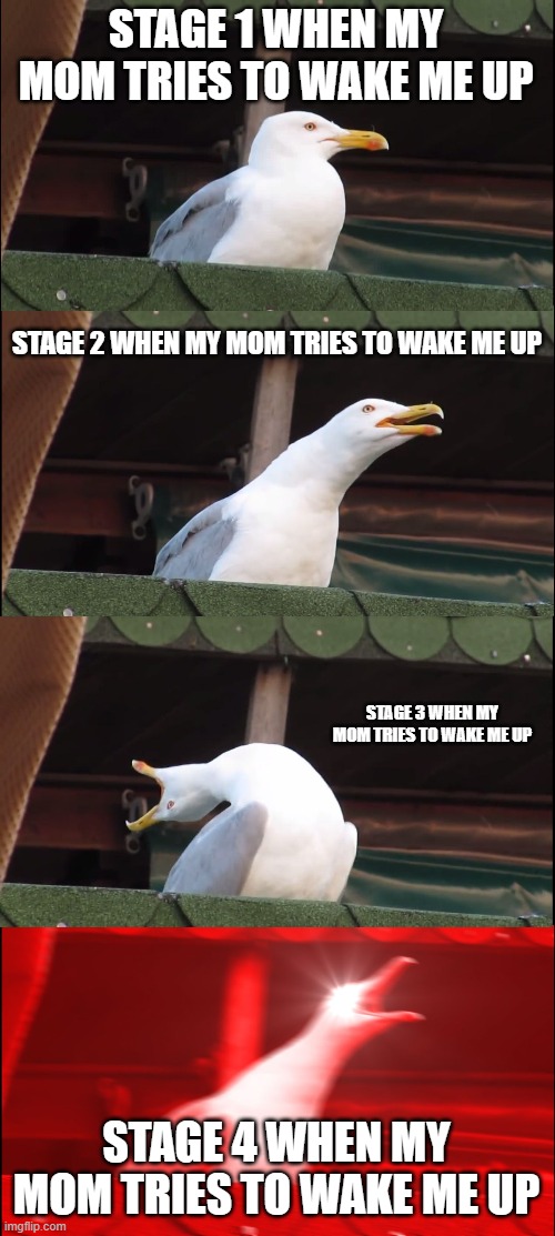 Inhaling Seagull Meme | STAGE 1 WHEN MY MOM TRIES TO WAKE ME UP; STAGE 2 WHEN MY MOM TRIES TO WAKE ME UP; STAGE 3 WHEN MY MOM TRIES TO WAKE ME UP; STAGE 4 WHEN MY MOM TRIES TO WAKE ME UP | image tagged in memes,inhaling seagull | made w/ Imgflip meme maker