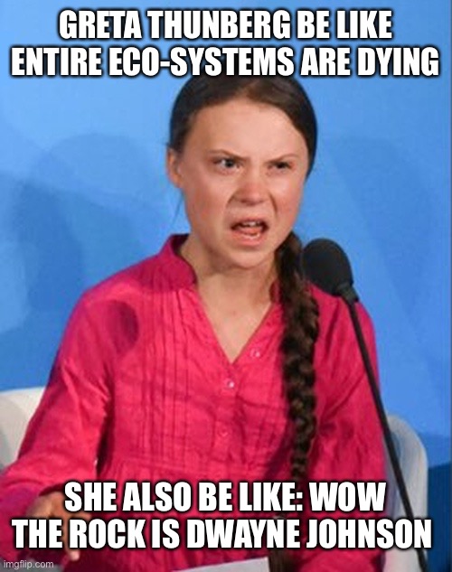 Greta Thunberg how dare you | GRETA THUNBERG BE LIKE ENTIRE ECO-SYSTEMS ARE DYING; SHE ALSO BE LIKE: WOW THE ROCK IS DWAYNE JOHNSON | image tagged in greta thunberg how dare you | made w/ Imgflip meme maker