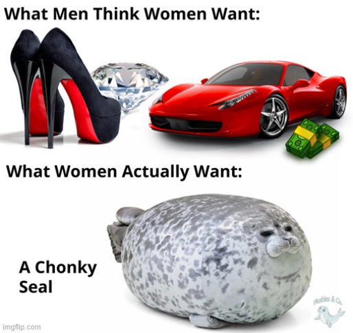 #SealLivesMatter roll safe guys | image tagged in what women want chonky seal,men vs women,dating,seal,women,repost | made w/ Imgflip meme maker