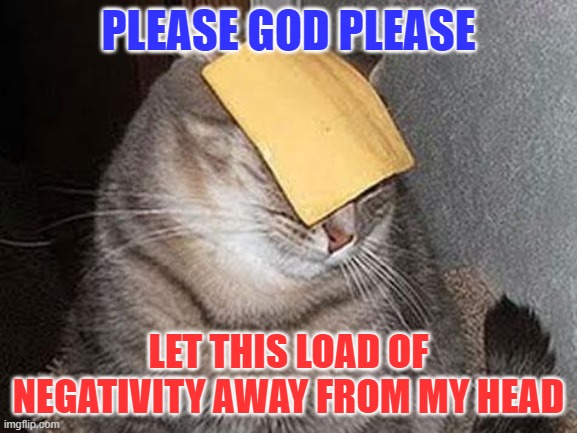 Cats with cheese | PLEASE GOD PLEASE; LET THIS LOAD OF NEGATIVITY AWAY FROM MY HEAD | image tagged in cats with cheese | made w/ Imgflip meme maker