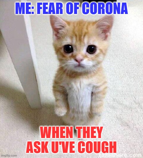 Cute Cat | ME: FEAR OF CORONA; WHEN THEY ASK U'VE COUGH | image tagged in memes,cute cat | made w/ Imgflip meme maker