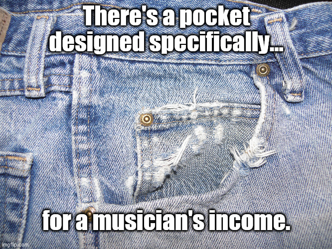 There's a pocket designed specifically... for a musician's income. | image tagged in musician jokes,poverty,musician | made w/ Imgflip meme maker