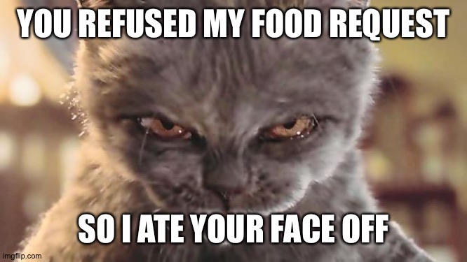 Evil Cat | YOU REFUSED MY FOOD REQUEST; SO I ATE YOUR FACE OFF | image tagged in evil cat | made w/ Imgflip meme maker
