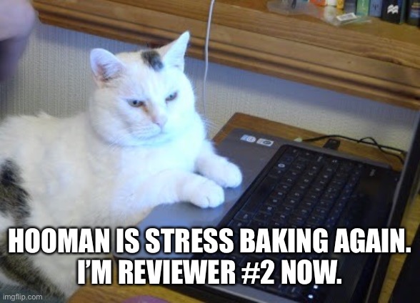 HOOMAN IS STRESS BAKING AGAIN.
I’M REVIEWER #2 NOW. | made w/ Imgflip meme maker