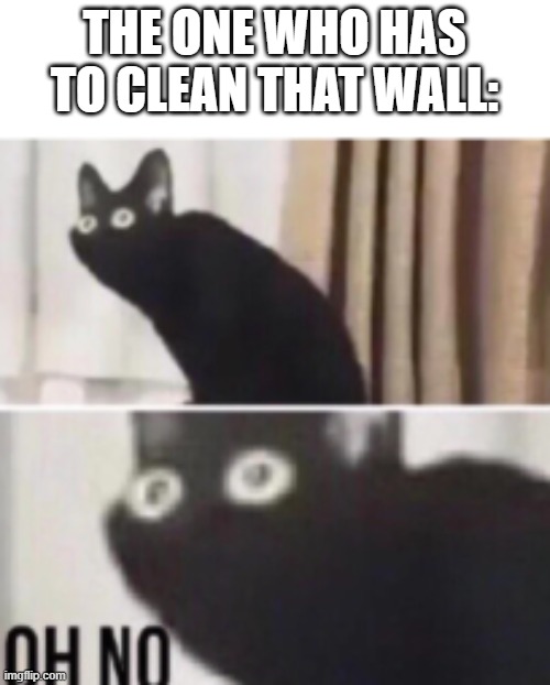 Oh no cat | THE ONE WHO HAS TO CLEAN THAT WALL: | image tagged in oh no cat | made w/ Imgflip meme maker