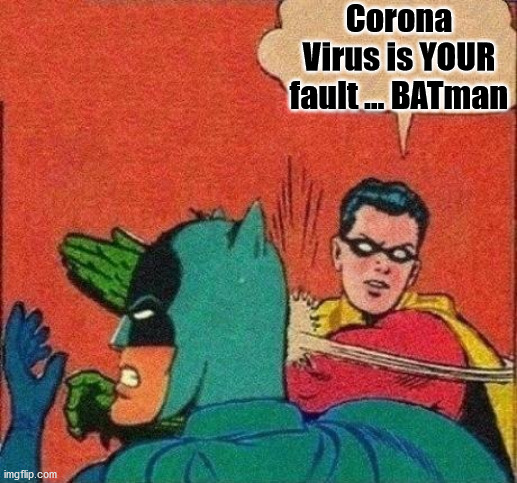 When your cover starts working against you | Corona Virus is YOUR fault ... BATman | image tagged in robin slaps batman,corona,coronavirus,bats | made w/ Imgflip meme maker